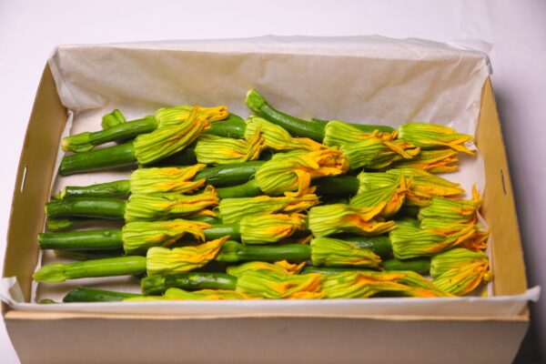 Zucchini Flowers